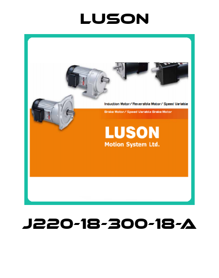 J220-18-300-18-A  Luson