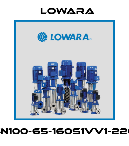 LSN100-65-160S1VV1-2202 Lowara