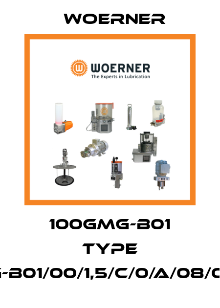 100GMG-B01 Type GMG-B01/00/1,5/C/0/A/08/0/0/3 Woerner