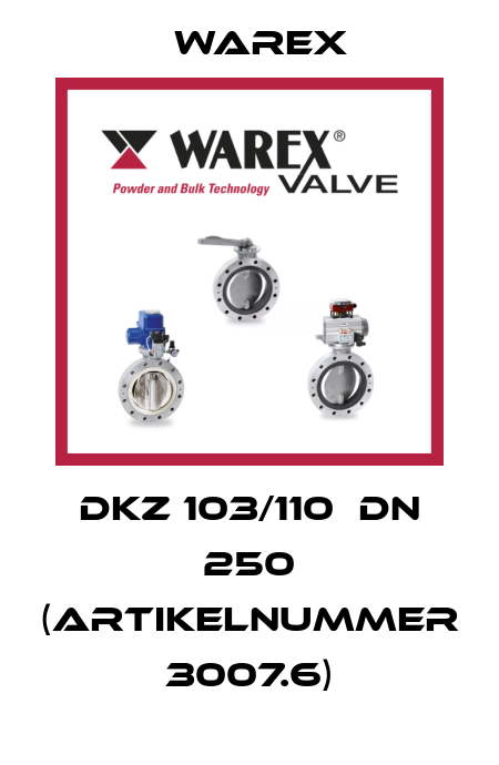 DKZ 103/110  DN 250 (Artikelnummer 3007.6) Warex