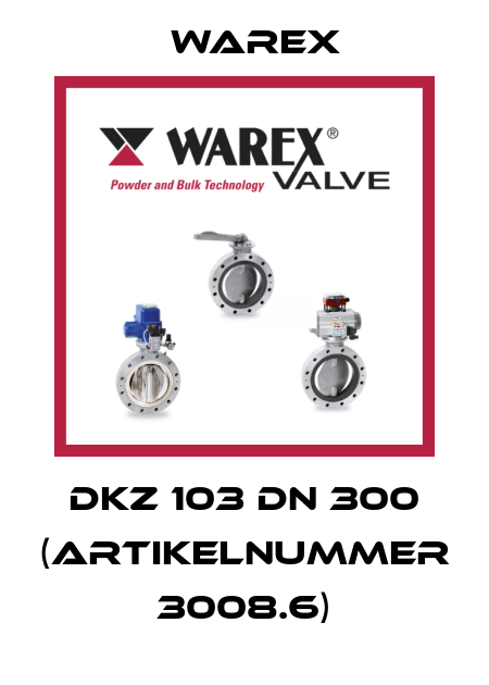 DKZ 103 DN 300 (Artikelnummer 3008.6) Warex