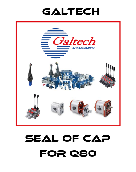 seal of cap for Q80 Galtech