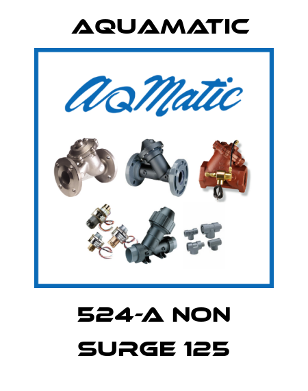 524-A non surge 125 AquaMatic