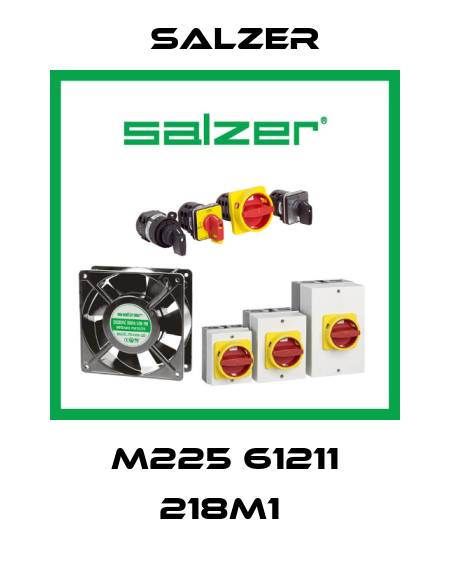 M225 61211 218M1  Salzer