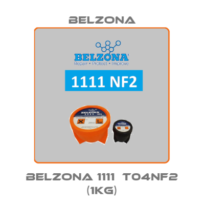 Belzona 1111  T04NF2 (1kg) Belzona