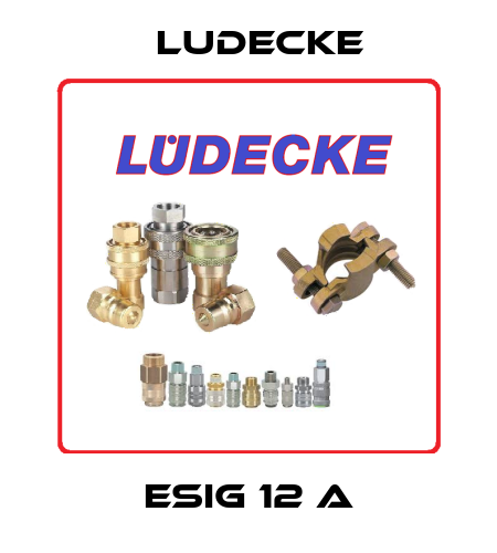 ESIG 12 A Ludecke