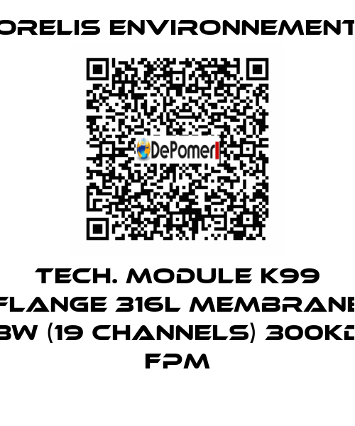Tech. Module K99 Flange 316L Membrane BW (19 channels) 300kD FPM Orelis Environnement