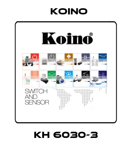 KH 6030-3 Koino