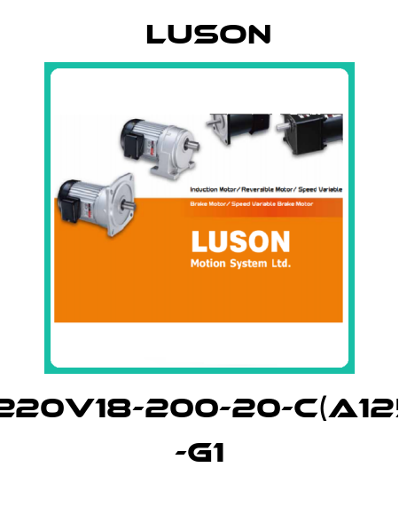J220V18-200-20-C(A125) -G1 Luson