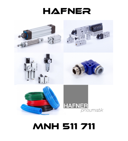 MNH 511 711 Hafner