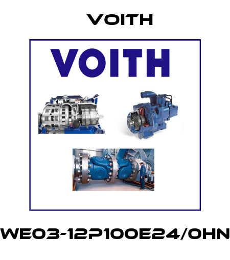 WE03-12P100E24/0HN Voith