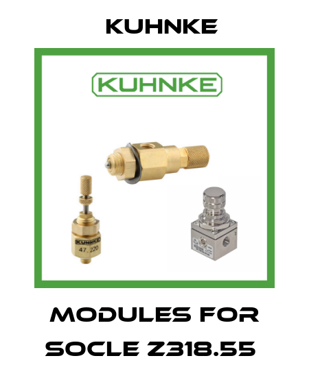 MODULES FOR SOCLE Z318.55  Kuhnke