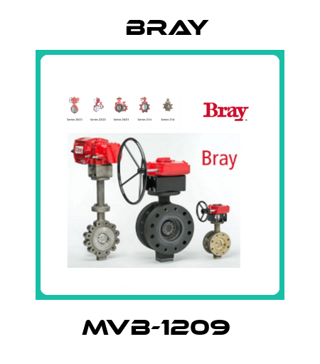 MVB-1209  Bray