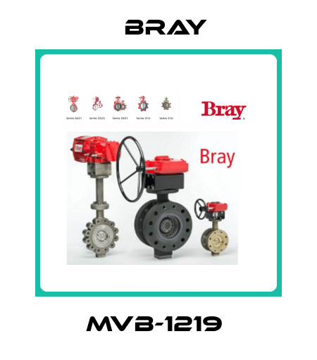MVB-1219  Bray