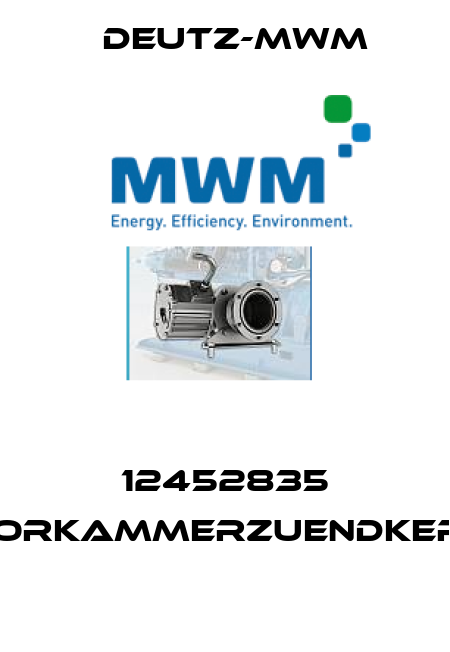 12452835 VORKAMMERZUENDKERZ  Deutz-mwm