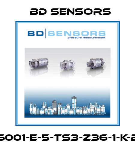 590-6001-E-5-TS3-Z36-1-K-2-000 Bd Sensors