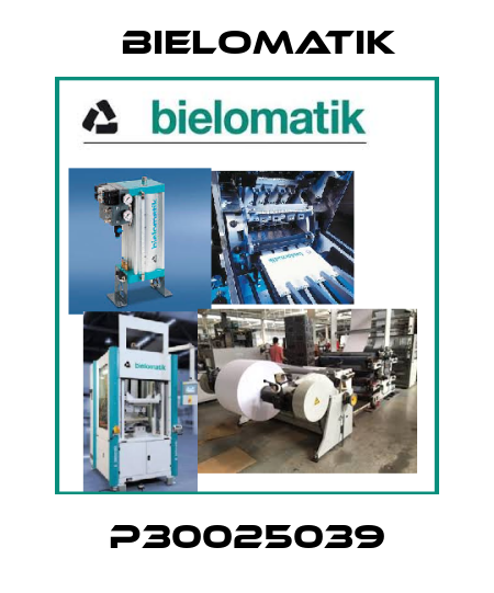 P30025039 Bielomatik