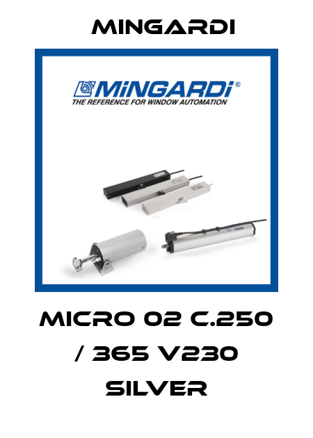 MICRO 02 C.250 / 365 V230 SILVER Mingardi