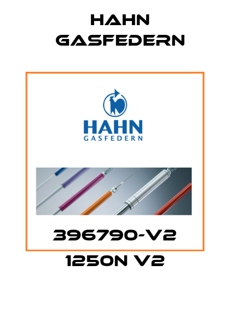 396790-V2 1250N V2 Hahn Gasfedern