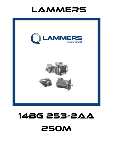 14BG 253-2AA 250M Lammers