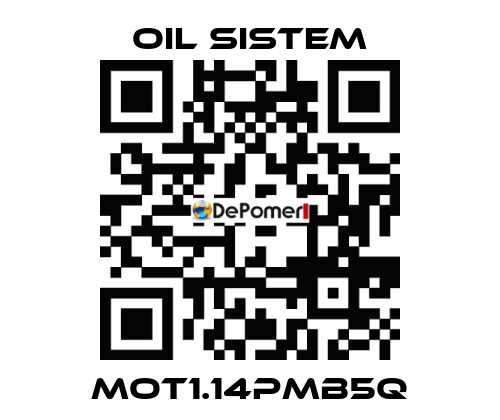 MOT1.14PMB5Q Oil Sistem