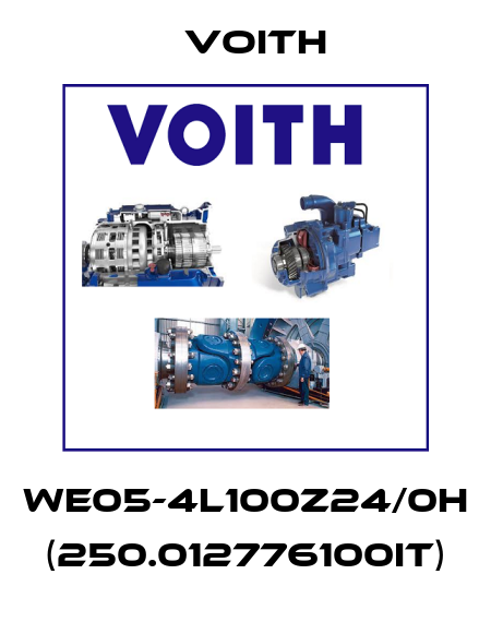 WE05-4L100Z24/0H (250.012776100IT) Voith