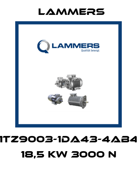 1TZ9003-1DA43-4AB4 18,5 kW 3000 n Lammers