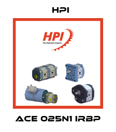 ACE 025N1 IRBP HPI