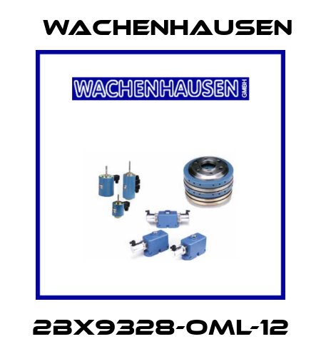 2BX9328-OML-12 Wachenhausen