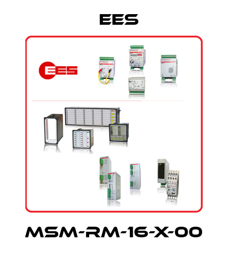 MSM-RM-16-X-00 Ees