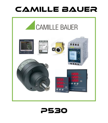 P530 Camille Bauer
