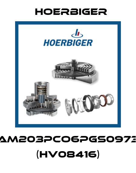 SAM203PCO6PGS0973B (HV08416) Hoerbiger