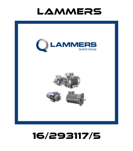 16/293117/5 Lammers