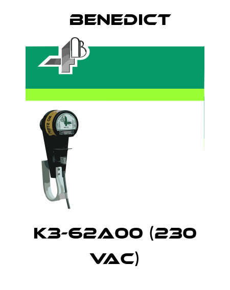 K3-62A00 (230 VAC) Benedict