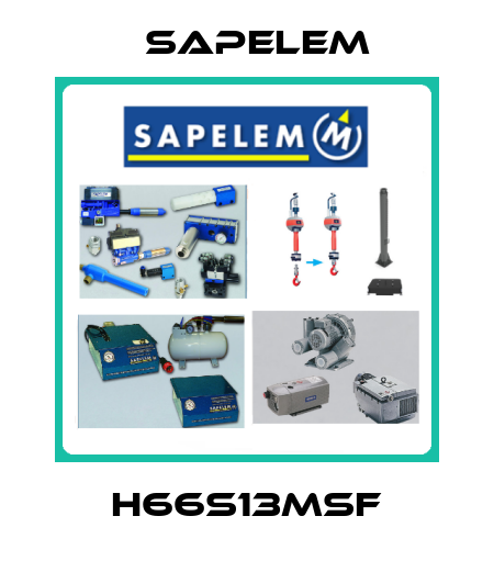 H66S13MSF Sapelem