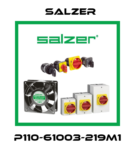 P110-61003-219M1 Salzer