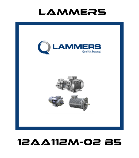 12AA112M-02 B5 Lammers
