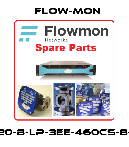 FML-20-B-LP-3EE-460CS-8-S1-D1 Flow-Mon