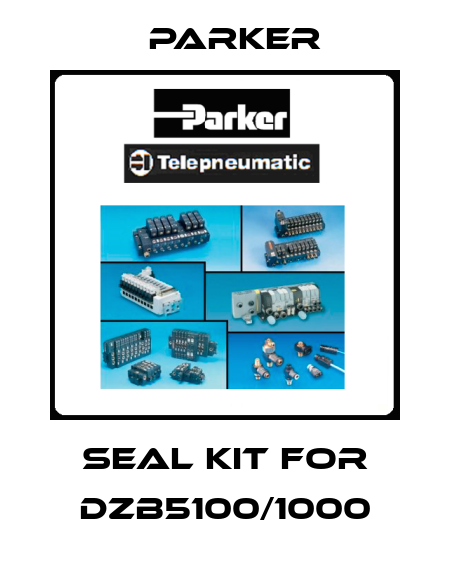 seal kit for DZB5100/1000 Parker