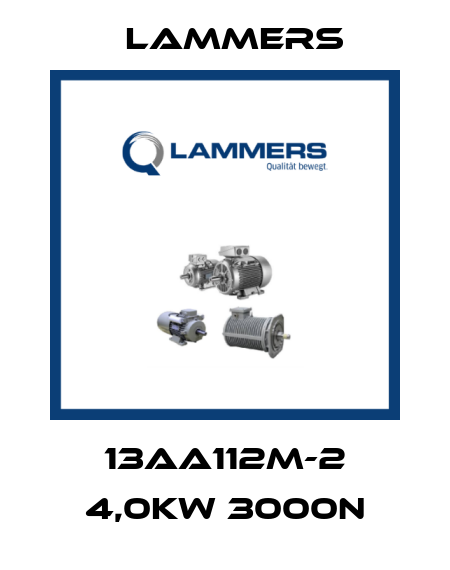 13AA112M-2 4,0kw 3000n Lammers