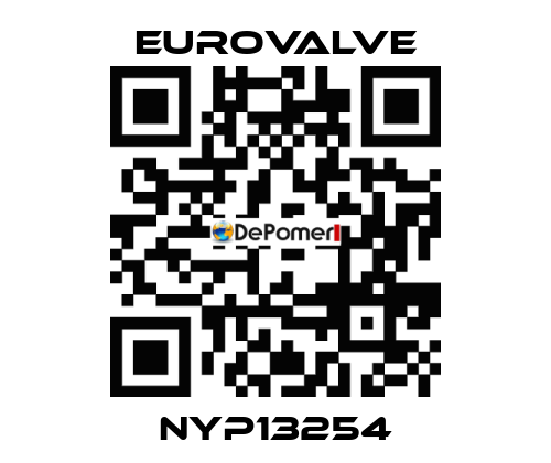 NYP13254 Eurovalve