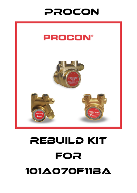 Rebuild Kit For 101A070F11BA Procon