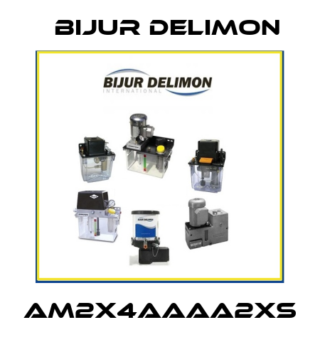 AM2X4AAAA2XS Bijur Delimon