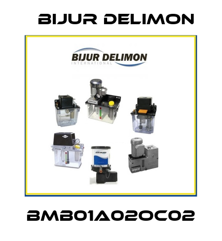 BMB01A02OC02 Bijur Delimon