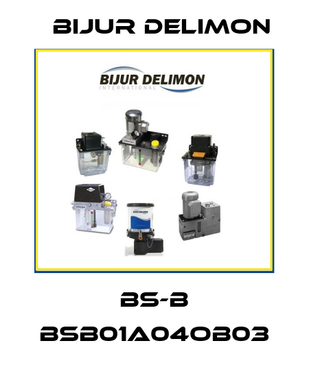 BS-B BSB01A04OB03 Bijur Delimon