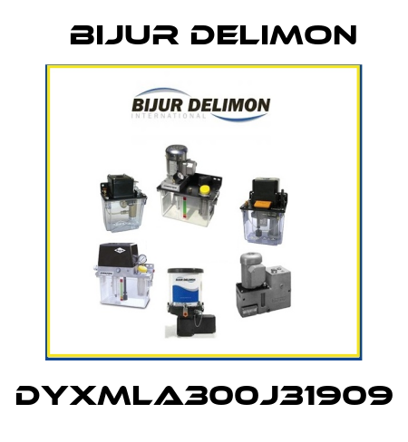 DYXMLA300J31909 Bijur Delimon