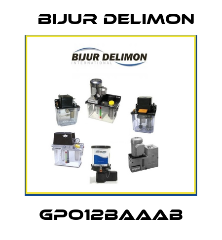 GPO12BAAAB Bijur Delimon