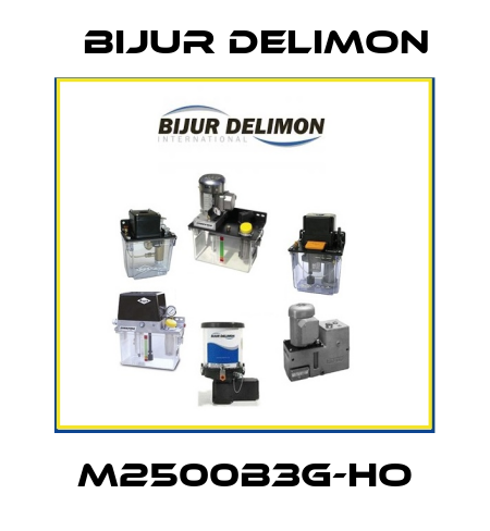M2500B3G-HO Bijur Delimon