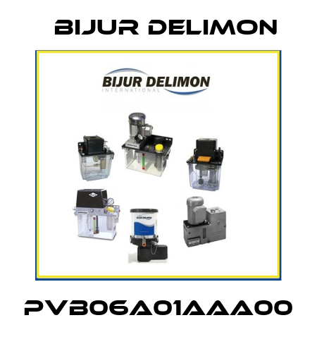PVB06A01AAA00 Bijur Delimon