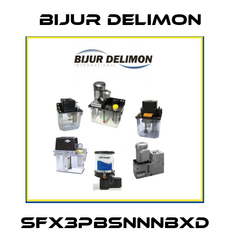 SFX3PBSNNNBXD Bijur Delimon